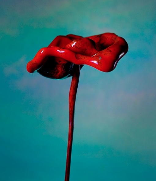 “Liquid sculptor” creates flowers with splashing water