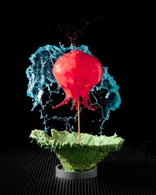 “Liquid sculptor” creates flowers with splashing water