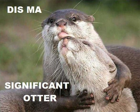 Otterly Cute!