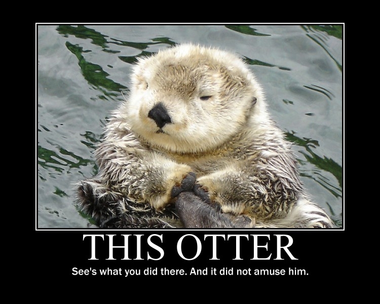 Otterly Cute!