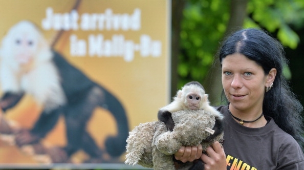 Justin Bieber's Monkey Finally Has A New Home