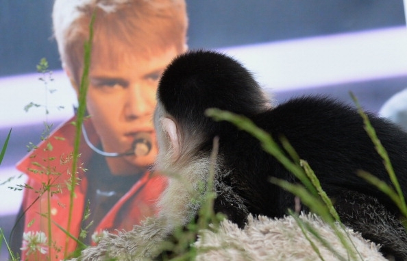 Justin Bieber's Monkey Finally Has A New Home