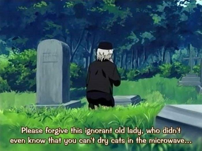 Strange Anime Quotes Definitely Lost In Translation 