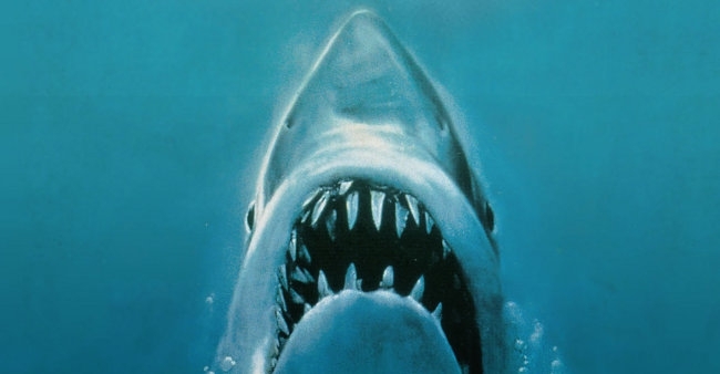 To Celebrate Shark Week, Here Are The Best Shark Movies