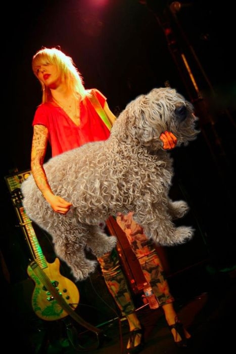 Bass Guitars Replaced by Dogs