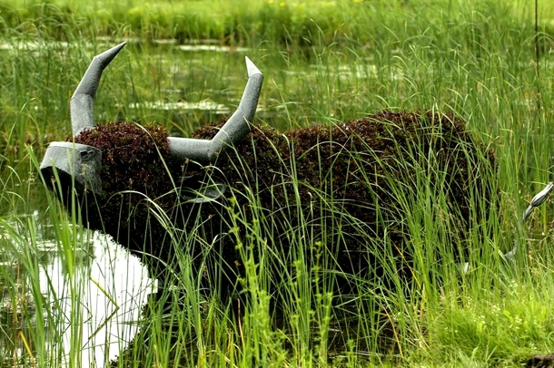 Spectacular Animal Sculptures Crafted From Nature 