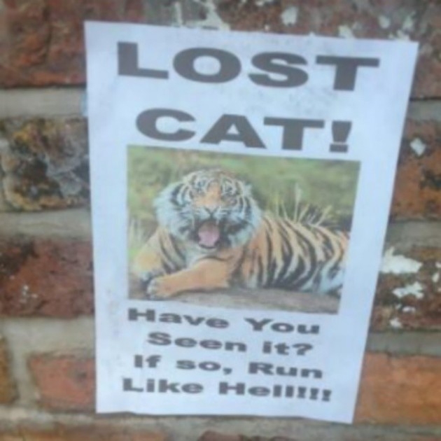 12 Clever 'Lost' Posters We Wish Were Serious