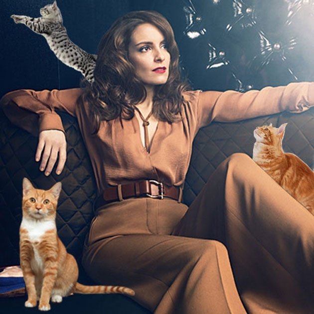 Tina Fey With Cats -- Your New Favorite Tumblr