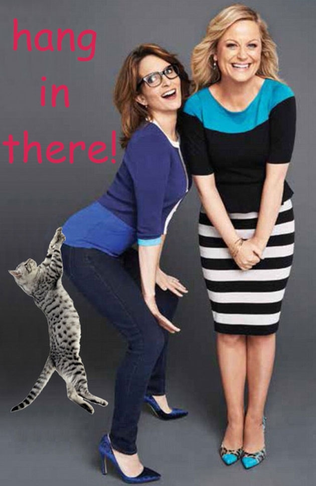 Tina Fey With Cats -- Your New Favorite Tumblr