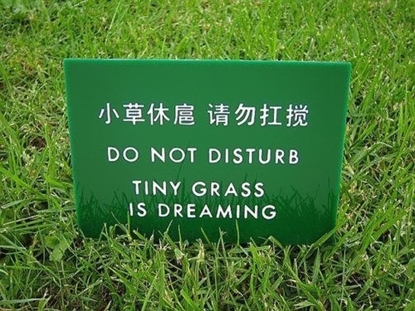 Do Not Disturb