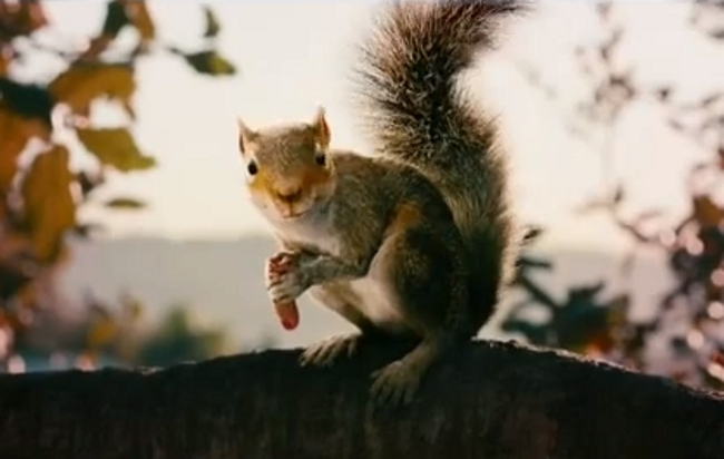 Timur Bekmambetov's 'Squirrels' Trailer Looks Ridiculous