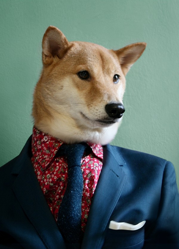 Menswear Dog Will Keep You Up on the Latest Fashion Trends