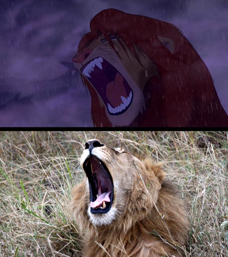 "The Lion King" in Real Life