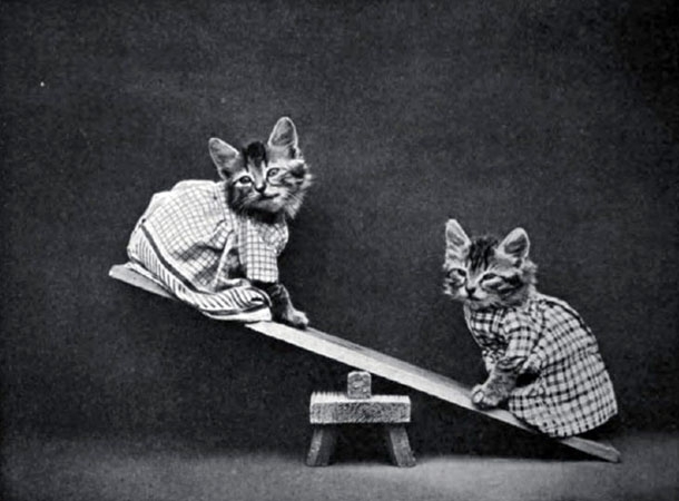 Hilarious Photographs From The First Cat Meme In History