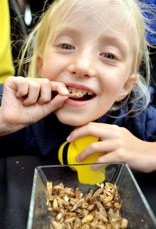 Rentokil Celebrates 85 Years in Business with a “Creepy-Crawly” Lunch