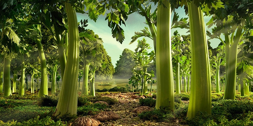 Foodscapes: Stunning Landscapes Made of Food by Carl Warner