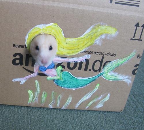 Adorable Hamster Dresses Up in Cardboard Cutouts
