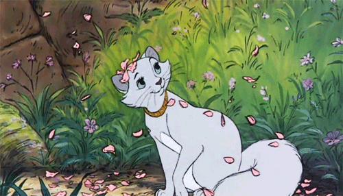 11 GIFs That Prove Disney Cats Are the Best Cats