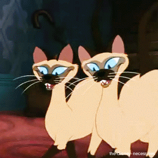 11 GIFs That Prove Disney Cats Are the Best Cats