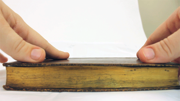 Hidden 19th Century Fore-Edge Paintings Found on the Pages of a Book