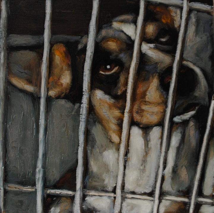 Heartbreaking Paintings of Deceased Shelter Dogs