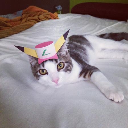 16 Tiny Hats on a Cat 