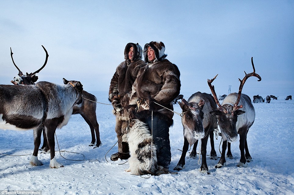 Photos of nomadic tribe of reindeer herders 
