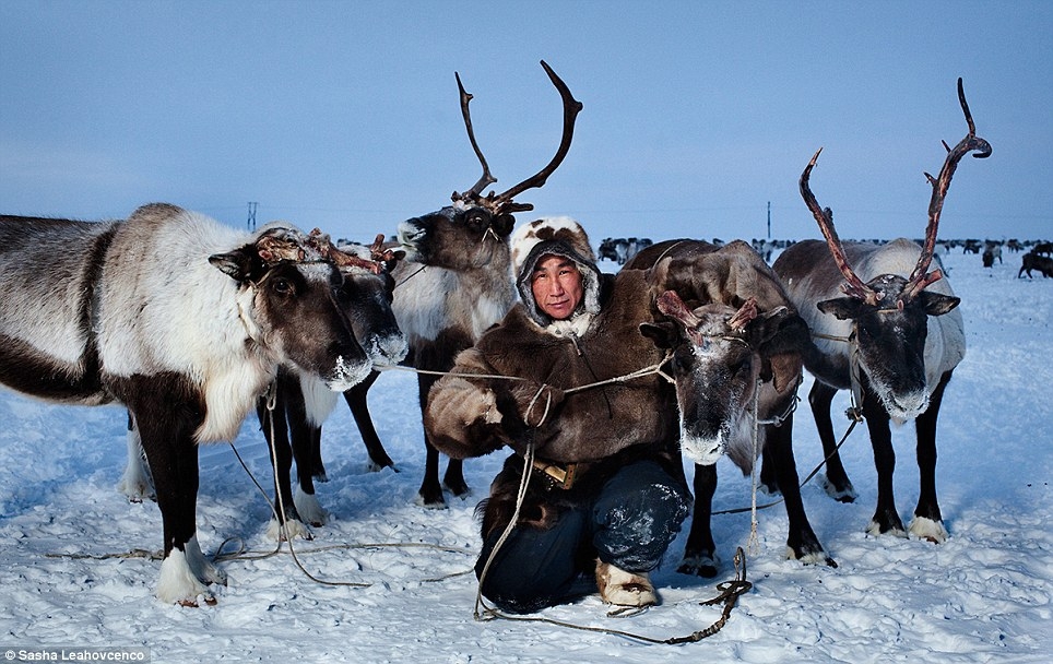 Photos of nomadic tribe of reindeer herders 