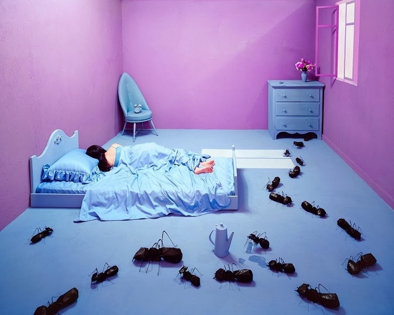 Sreative photographs of Jee Young Lee 