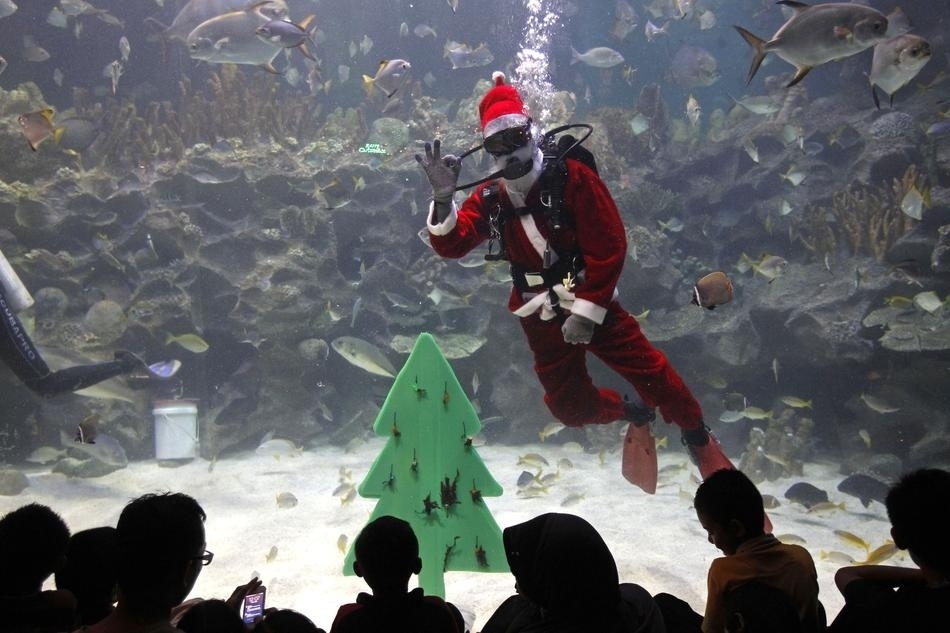 55 Incredible Images Of The World Celebrating Christmas