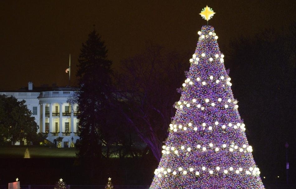 55 Incredible Images Of The World Celebrating Christmas