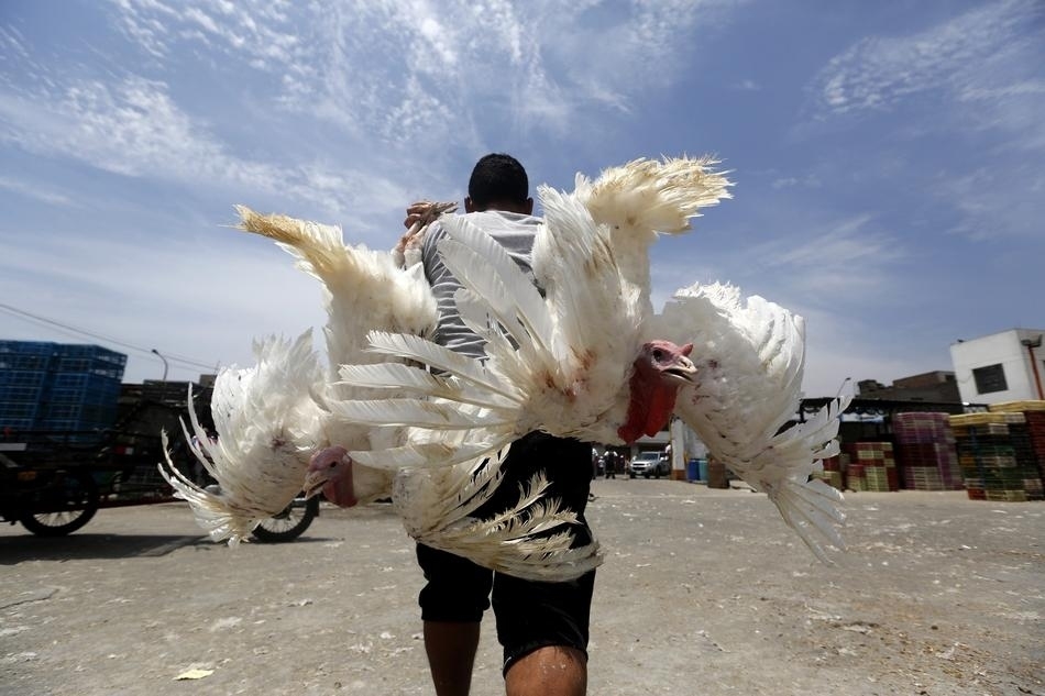 55 Incredible Images Of The World Celebrating Christmas