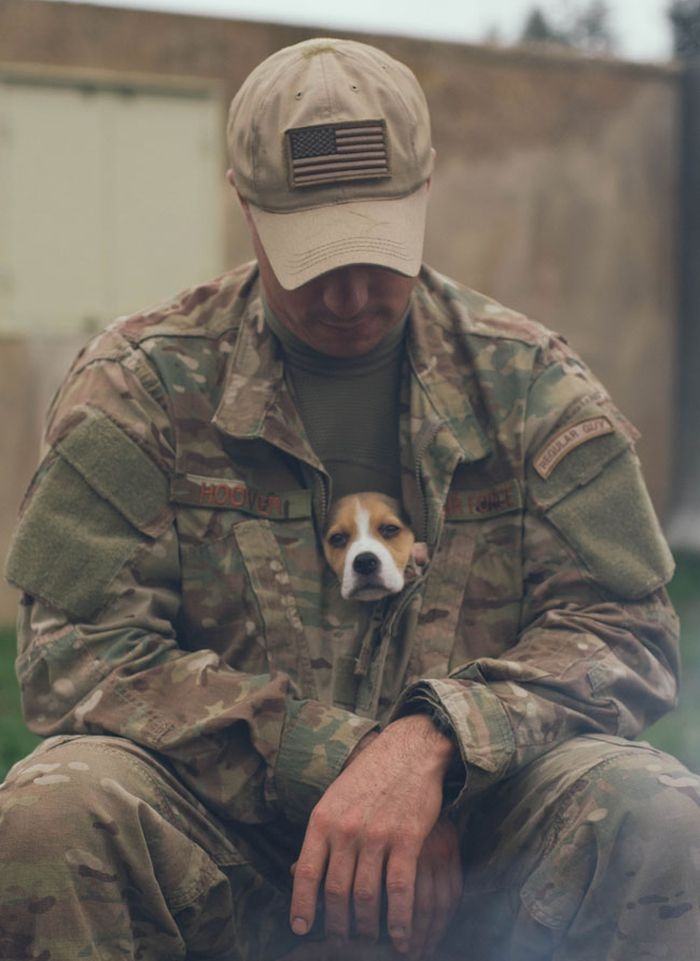 Soldiers and service dogs: a heartwarming friendship