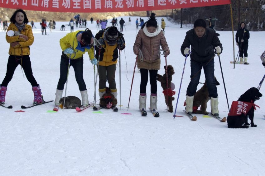 Bizzarre ski competition
