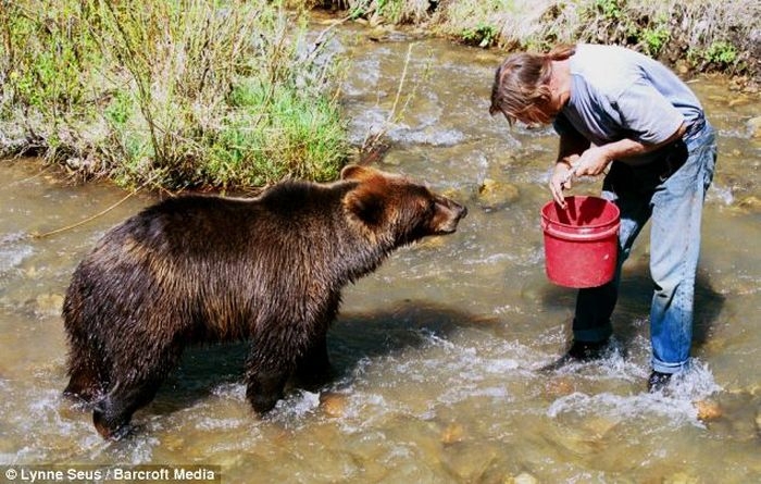 Bear trainers and their powerful pets