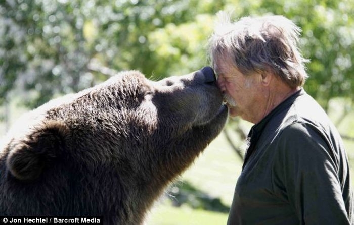 Bear trainers and their powerful pets