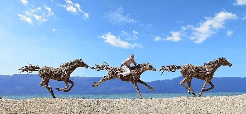 Amazing driftwood sculptures 