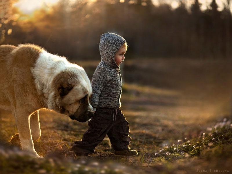 Beautiful photos of baby with farm animals