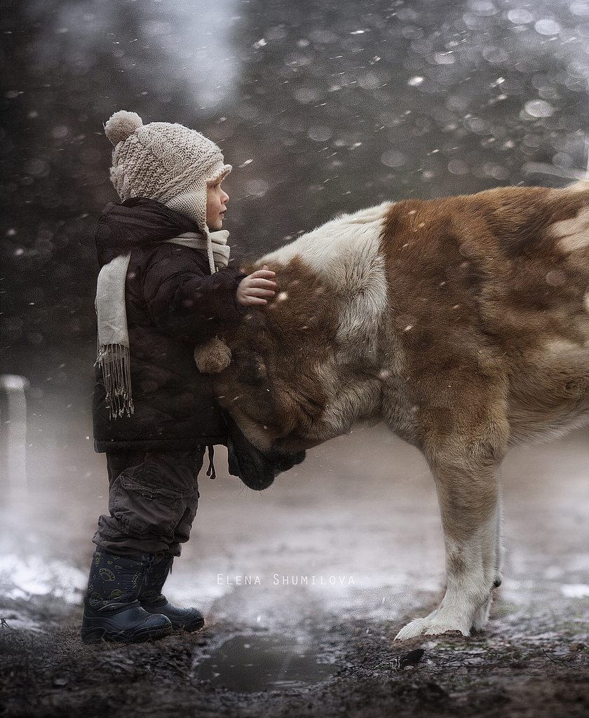 Beautiful photos of baby with farm animals