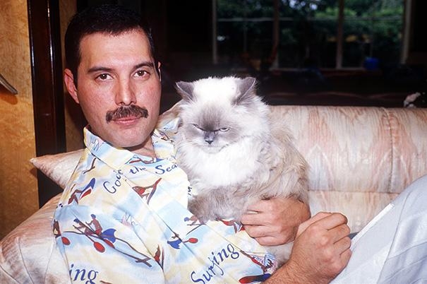 Celebrities with their pets