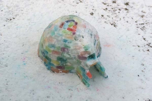 Creative colorful igloo on the backyard