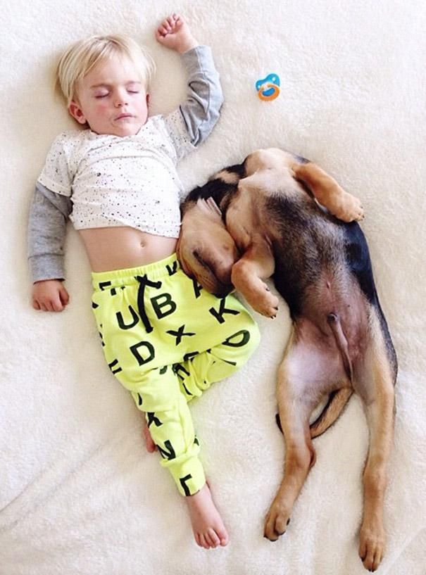 Amazing photos of sleeping kid and his puppy