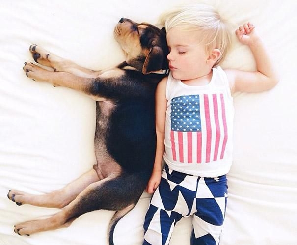 Amazing photos of sleeping kid and his puppy