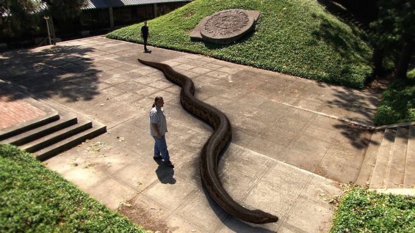 A giant snake titanoboa