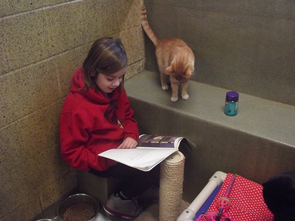 Kids who read for cats