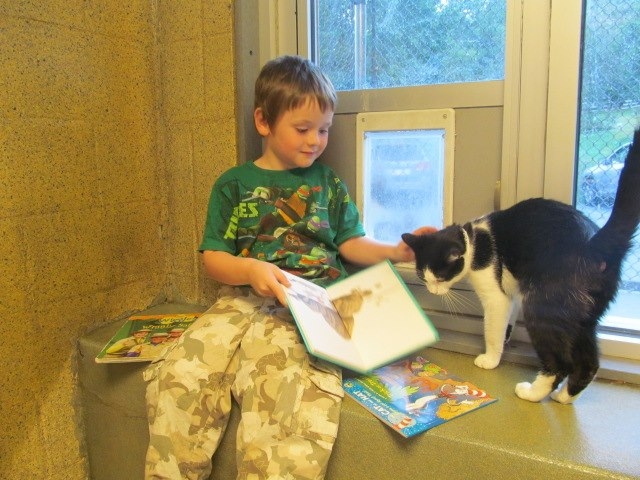 Kids who read for cats