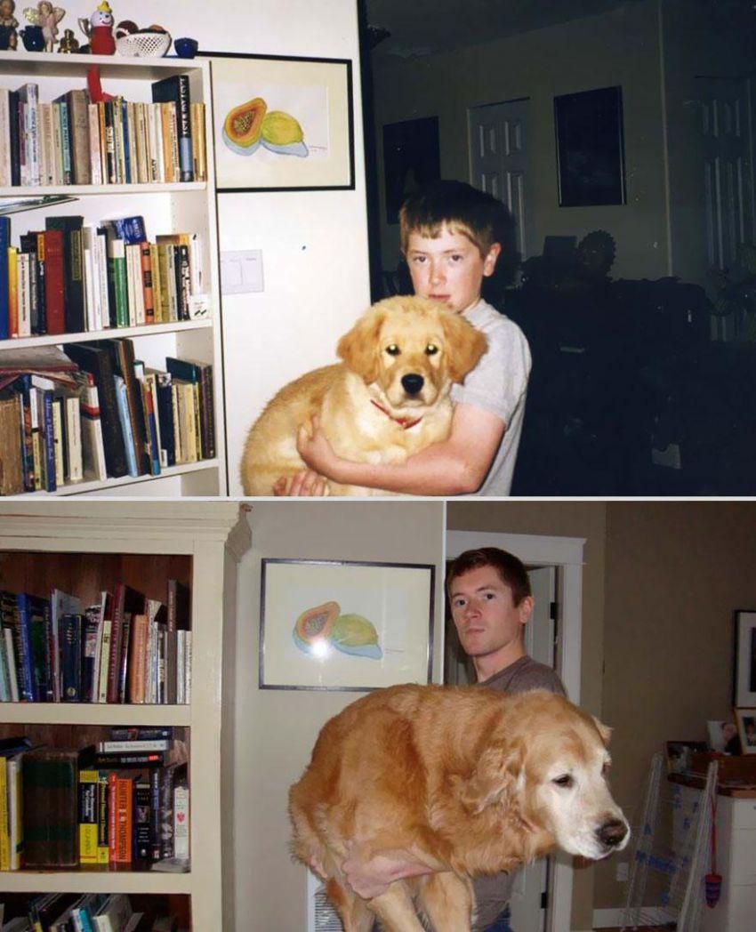 Photos of our pets: then and now