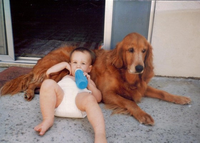Cute photos of children and dogs