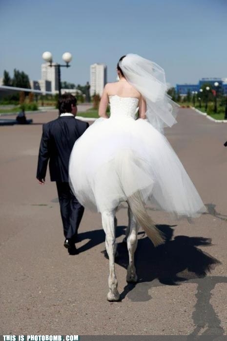 The 25 Most Hilarious Wedding Photos Ever