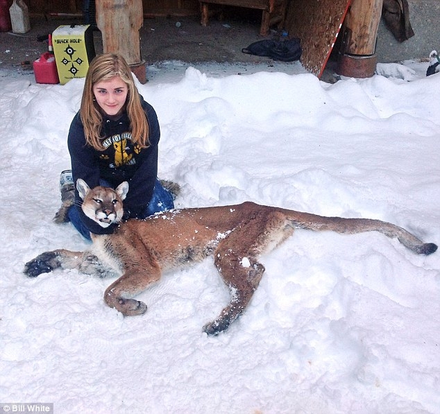 How girl ELEVEN shot dead cougar that was stalking her brother